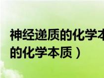 神经递质的化学本质有没有蛋白质（神经递质的化学本质）