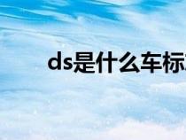 ds是什么车标志（ds标记是什么车）