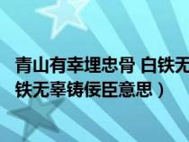 青山有幸埋忠骨 白铁无辜铸佞臣的含义（青山有幸埋忠骨白铁无辜铸佞臣意思）