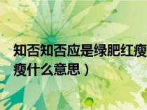 知否知否应是绿肥红瘦什么意思小说（知否知否应是绿肥红瘦什么意思）