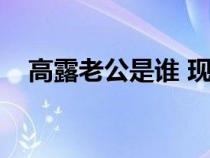 高露老公是谁 现实（高露老公个人资料）