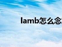 lamb怎么念英语（lamb如何读）