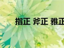 指正 斧正 雅正（指正和斧正的区别）