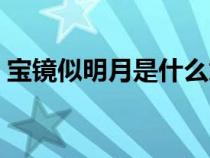 宝镜似明月是什么意思（宝镜似空水下一句）