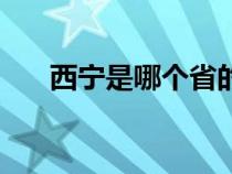 西宁是哪个省的城市（宁夏是哪个省）