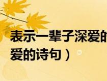 表示一辈子深爱的诗句怎么说（表示一辈子深爱的诗句）