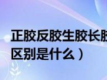 正胶反胶生胶长胶图解（正胶反胶生胶长胶的区别是什么）