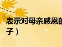 表示对母亲感恩的话语（表示对母亲感恩的句子）