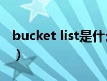 bucket list是什么意思（Bucket是什么意思）