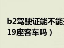 b2驾驶证能不能开19座客车（b2驾照可以开19座客车吗）