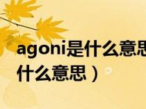 agoni是什么意思中文翻译怎么读（agoni是什么意思）