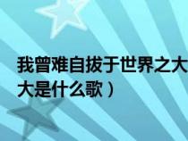 我曾难自拔于世界之大用英文怎么说（我曾难自拔于世界之大是什么歌）