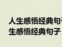 人生感悟经典句子:感情不是人生的全部（人生感悟经典句子）