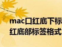 mac口红底下标签是黑色还是白色（mac口红底部标签格式）