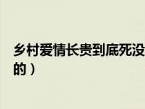 乡村爱情长贵到底死没死（乡村爱情长贵是哪一部哪一集死的）