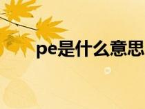 pe是什么意思电工（pe是什么意思）