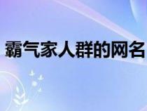 霸气家人群的网名（群名字霸气点的家人群）