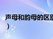 声母和韵母的区别及运用（声母和韵母的区别）