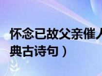 怀念已故父亲催人泪下的诗词（祭奠父亲的经典古诗句）