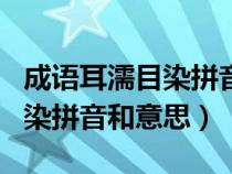 成语耳濡目染拼音和意思是什么（成语耳濡目染拼音和意思）