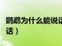 鹦鹉为什么能说话不会说话（鹦鹉为什么能说话）