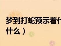 梦到打蛇预示着什么蛇跑了（梦到打蛇预示着什么）