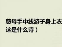 慈母手中线游子身上衣是谁的诗句（慈母手中线游子身上衣这是什么诗）