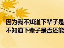 因为我不知道下辈子是否还能遇见你是什么歌歌词（因为我不知道下辈子是否还能遇见你是什么歌）