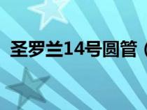 圣罗兰14号圆管（圣罗兰14号是什么颜色）