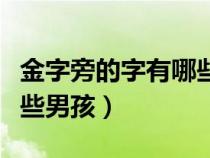 金字旁的字有哪些男孩小名（金字旁的字有哪些男孩）