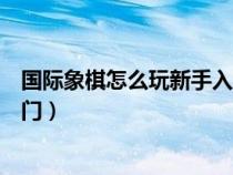 国际象棋怎么玩新手入门视频静音（国际象棋怎么玩新手入门）