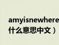 amyisnewhere是什么意思中文（where是什么意思中文）