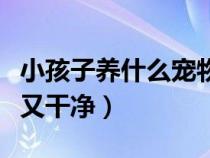 小孩子养什么宠物好养又干净（什么宠物好养又干净）