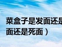 菜盒子是发面还是死面哪个是好（菜盒子是发面还是死面）