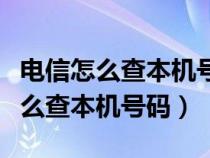 电信怎么查本机号码打过的电话记录（电信怎么查本机号码）