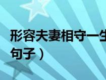 形容夫妻相守一生的佳句（白头到老的爱情好句子）