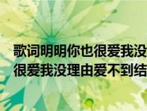 歌词明明你也很爱我没理由爱不到结果是什么歌（明明你也很爱我没理由爱不到结果什么歌）