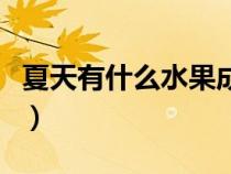 夏天有什么水果成熟了图片（夏天有什么水果）