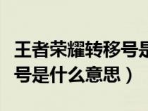 王者荣耀转移号是什么意思呀（王者荣耀转移号是什么意思）