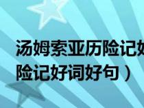 汤姆索亚历险记好词好句+感悟（汤姆索亚历险记好词好句）