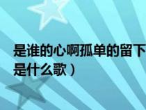 是谁的心啊孤单的留下是什么歌名（是谁的心啊孤单的留下是什么歌）