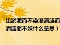 出淤泥而不染濯清涟而不妖意思相反的是（出淤泥而不染濯清涟而不妖什么意思）