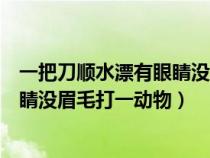 一把刀顺水漂有眼睛没眉毛打一动物词（一把刀顺水漂有眼睛没眉毛打一动物）