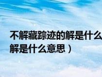 不解藏踪迹的解是什么意思踪迹是什么意思（不解藏踪迹的解是什么意思）