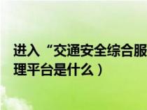 进入“交通安全综合服务管理平台”（交通安全综合服务管理平台是什么）