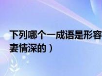 下列哪个一成语是形容夫妻情深的（下列哪个成语是形容夫妻情深的）