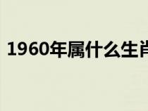 1960年属什么生肖（1964年属什么生肖呢）