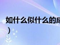 如什么似什么的成语词（如什么似什么的成语）