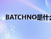 BATCHNO是什么意思（bat是什么意思）