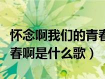 怀念啊我们的青春啊这首歌（怀念啊我们的青春啊是什么歌）